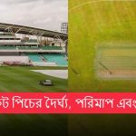 ক্রিকেট পিচের দৈর্ঘ্য, পরিমাপ এবং মাত্রা: একটি ব্যাপক নির্দেশিকা