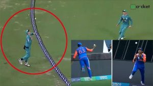 cricket