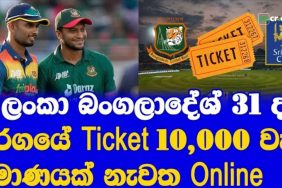 T20 Series