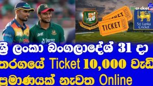 T20 Series