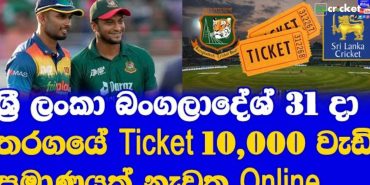 T20 Series